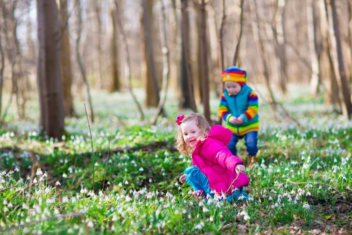 deti sa hrajú v jarnom lese